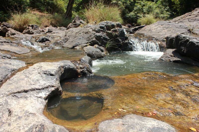 fish watching spot in goa, trekking trails in goa, cheapest trekking destinations goa