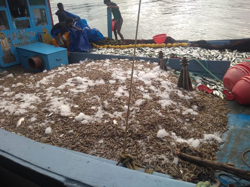 modern technique of fishing in goa