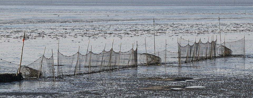 old fishing methods of fishing in goa