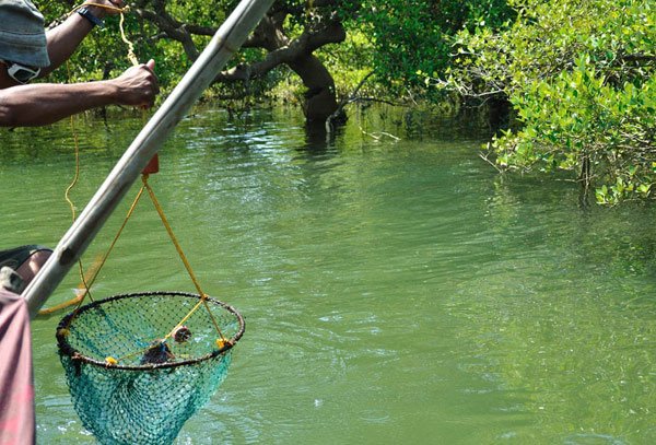 popular fishing methods of goa