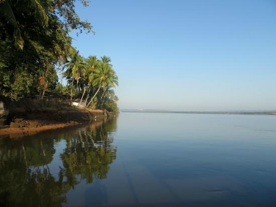 chorao island goa