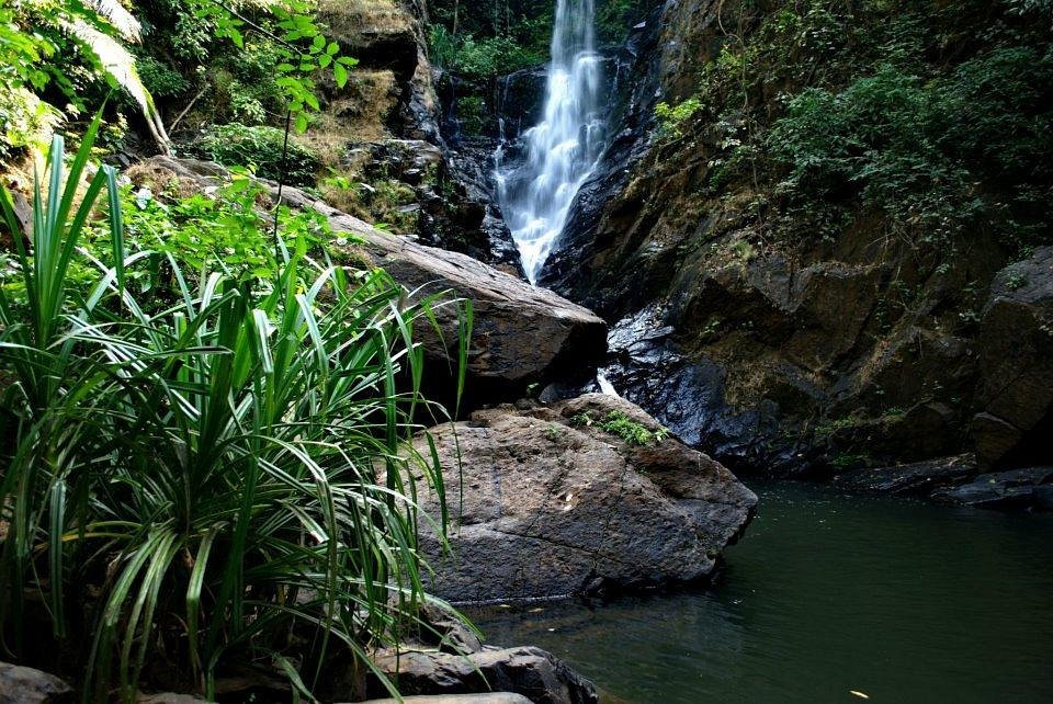 waterfall trek in goa