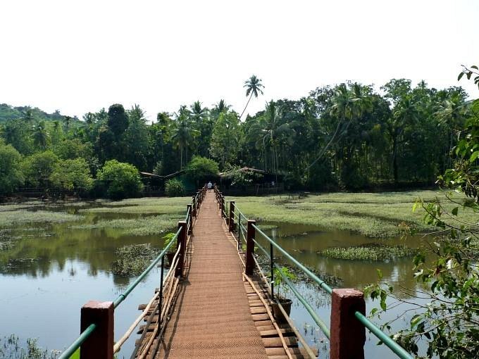 exploring offbeat goa