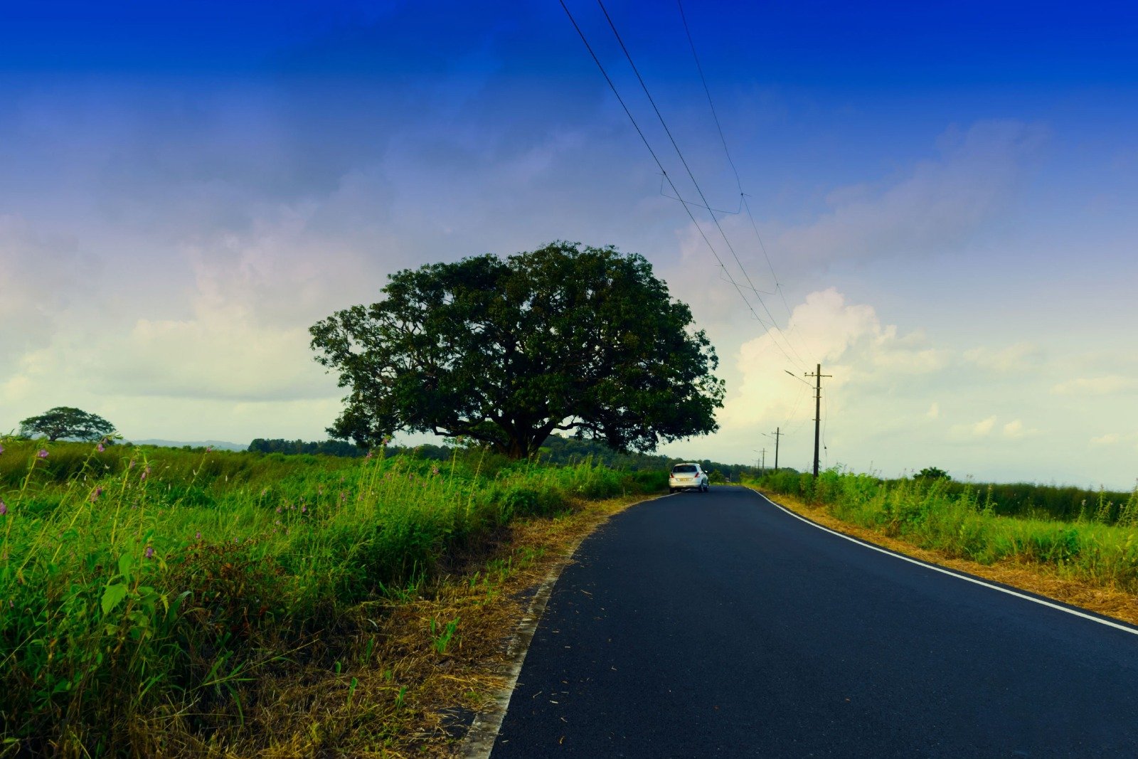 island trails in goa
