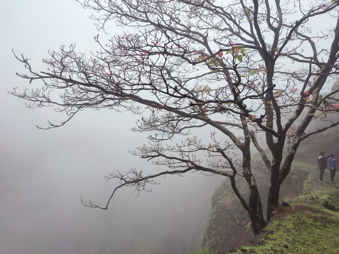 monsoon trekking in goa