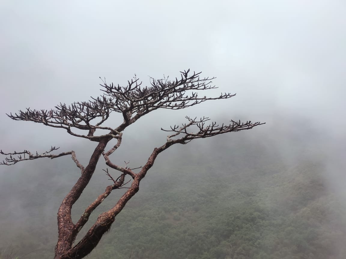 trekking in goa