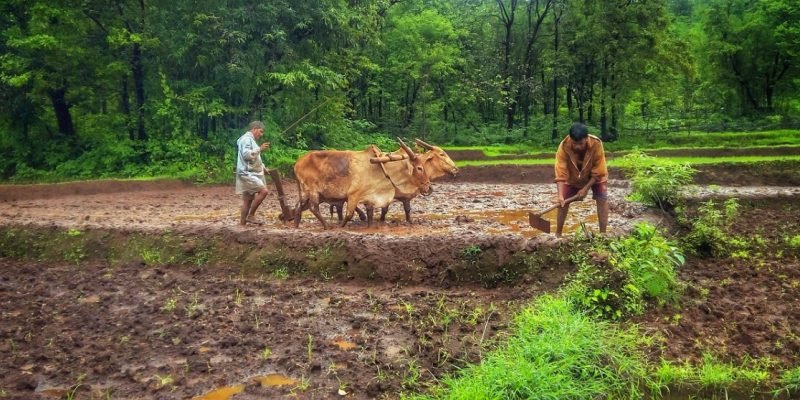 offbeat goan experience