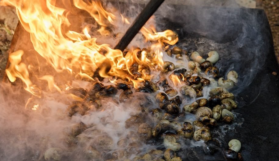 cashew roasting in goa