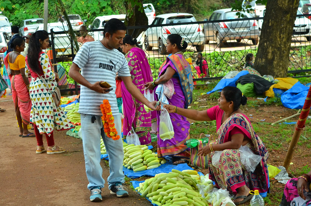 cucumber fest goa