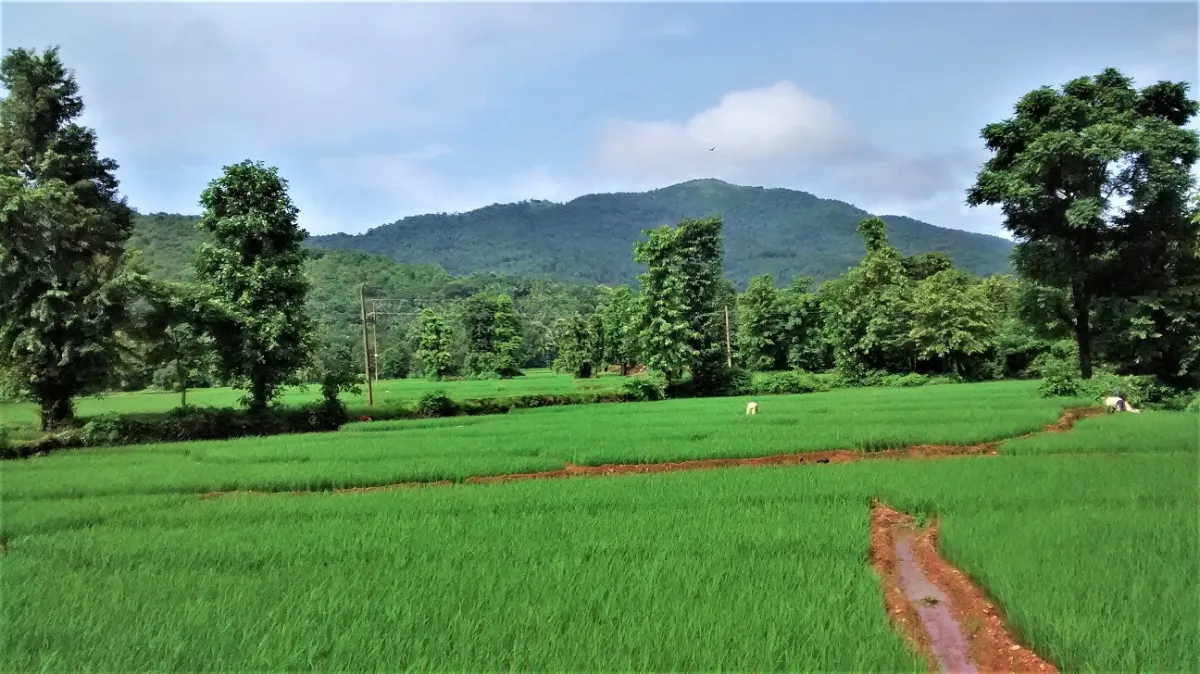 monsoon trails in goa