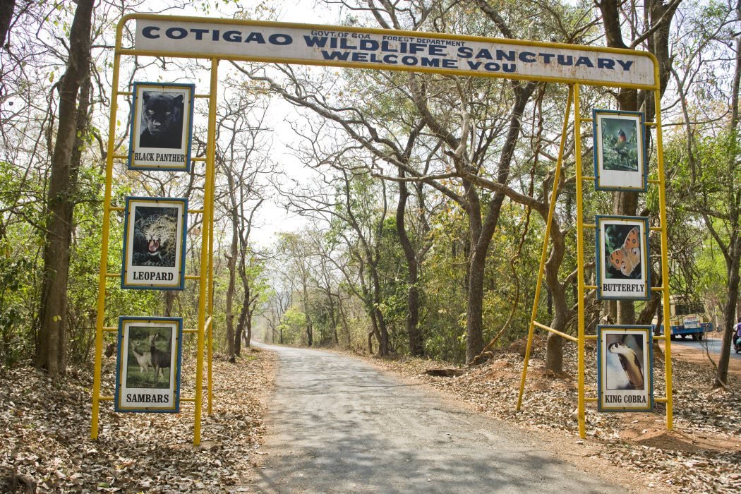 zoos in goa