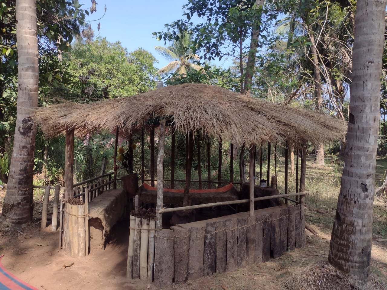 goan village experience