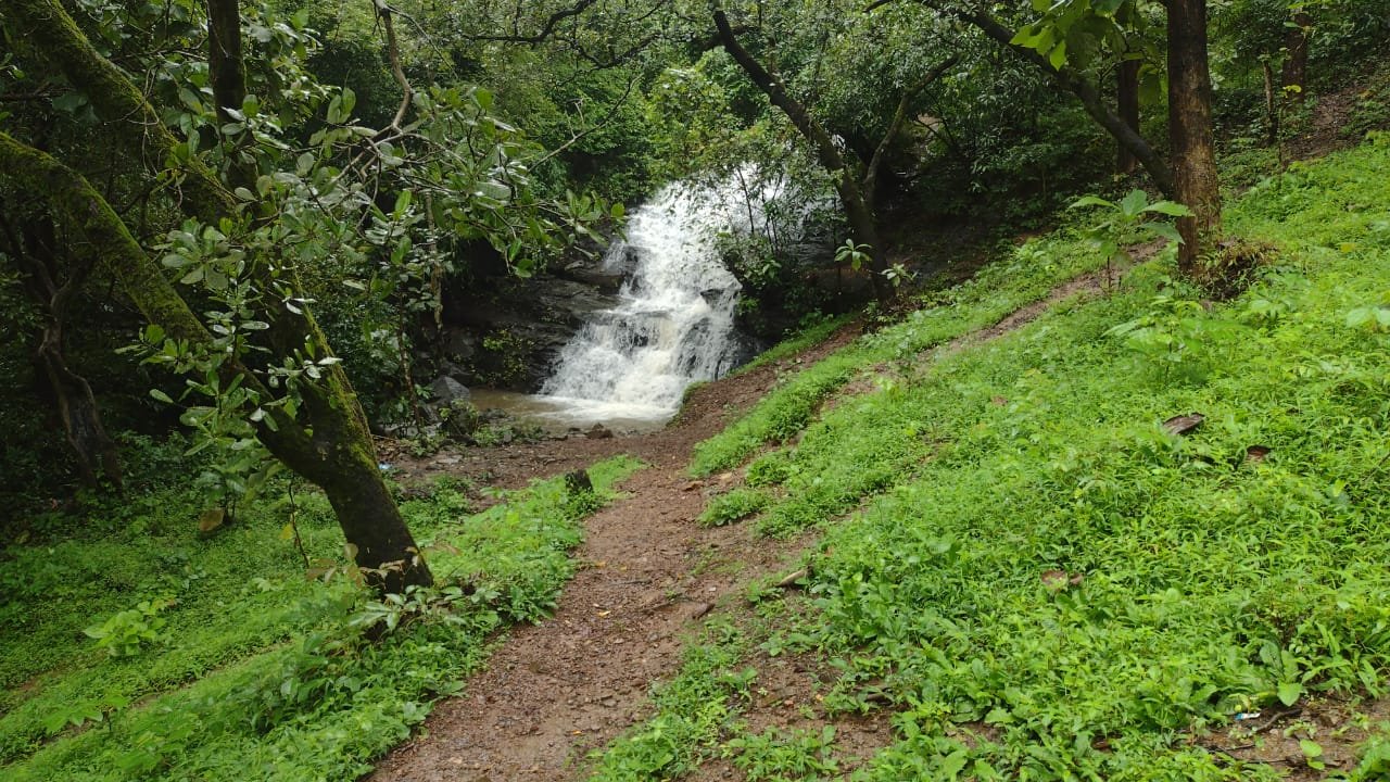 waterfall trail in goa