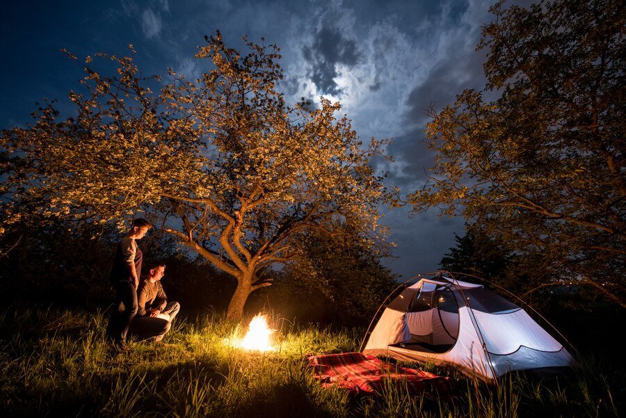 night camping in goa